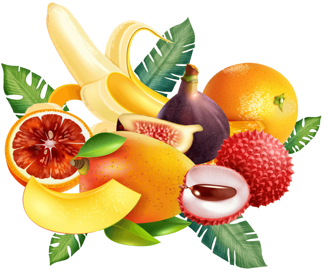 fruits