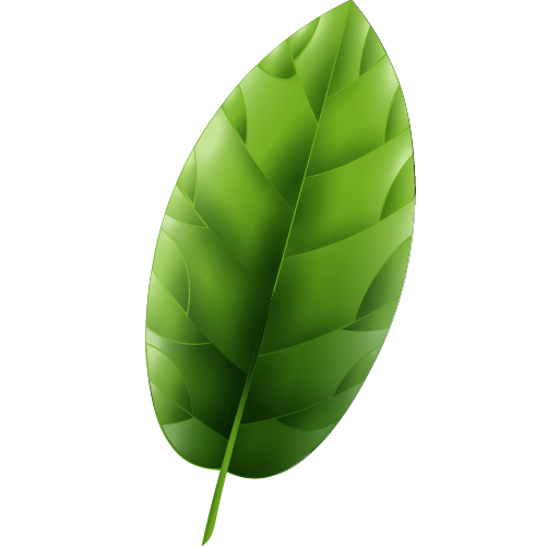 leaf